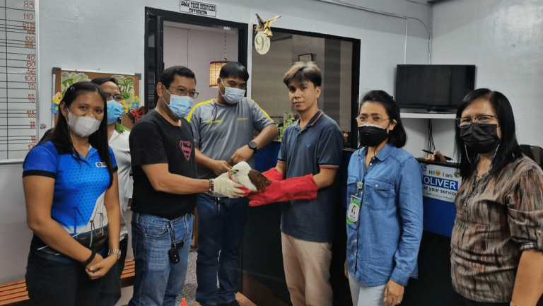 energy development corporation rescue team with the rescued brahminy kite